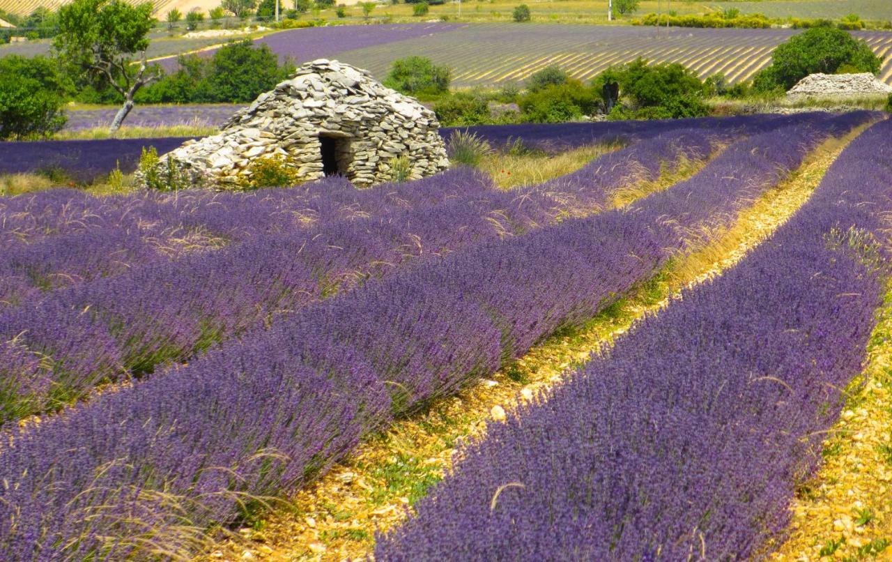 Chateau Des Gipieres Bij De Mont Ventoux Монбран-ле-Бен Екстериор снимка