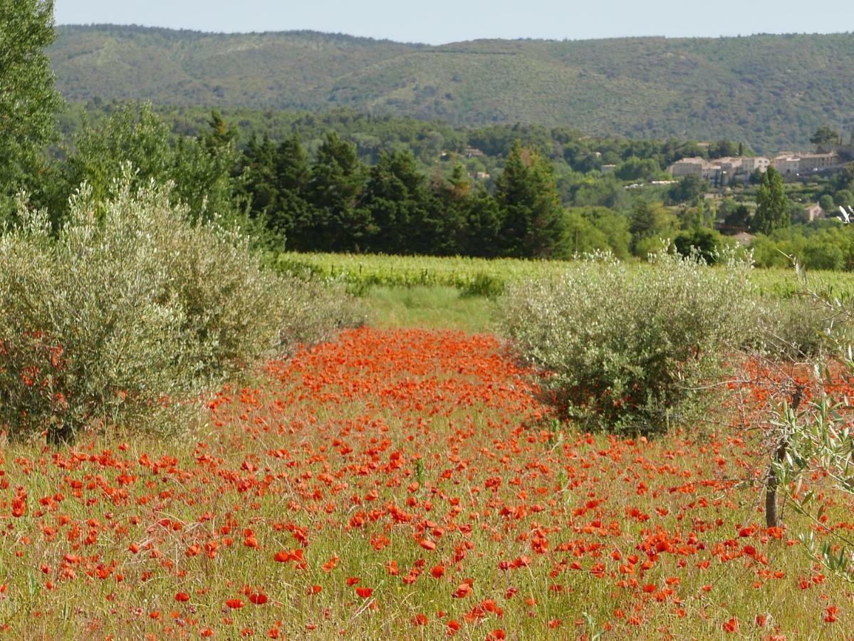 Chateau Des Gipieres Bij De Mont Ventoux Монбран-ле-Бен Екстериор снимка