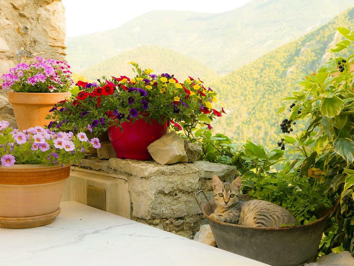Chateau Des Gipieres Bij De Mont Ventoux Монбран-ле-Бен Екстериор снимка
