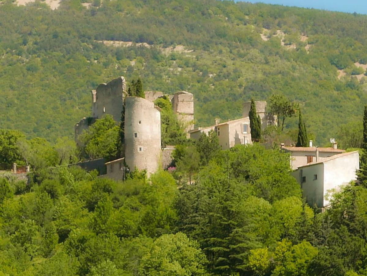 Chateau Des Gipieres Bij De Mont Ventoux Монбран-ле-Бен Екстериор снимка