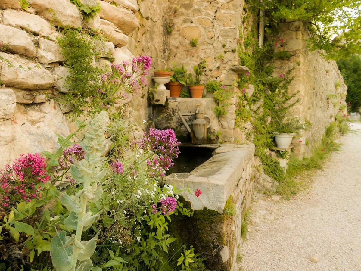 Chateau Des Gipieres Bij De Mont Ventoux Монбран-ле-Бен Екстериор снимка
